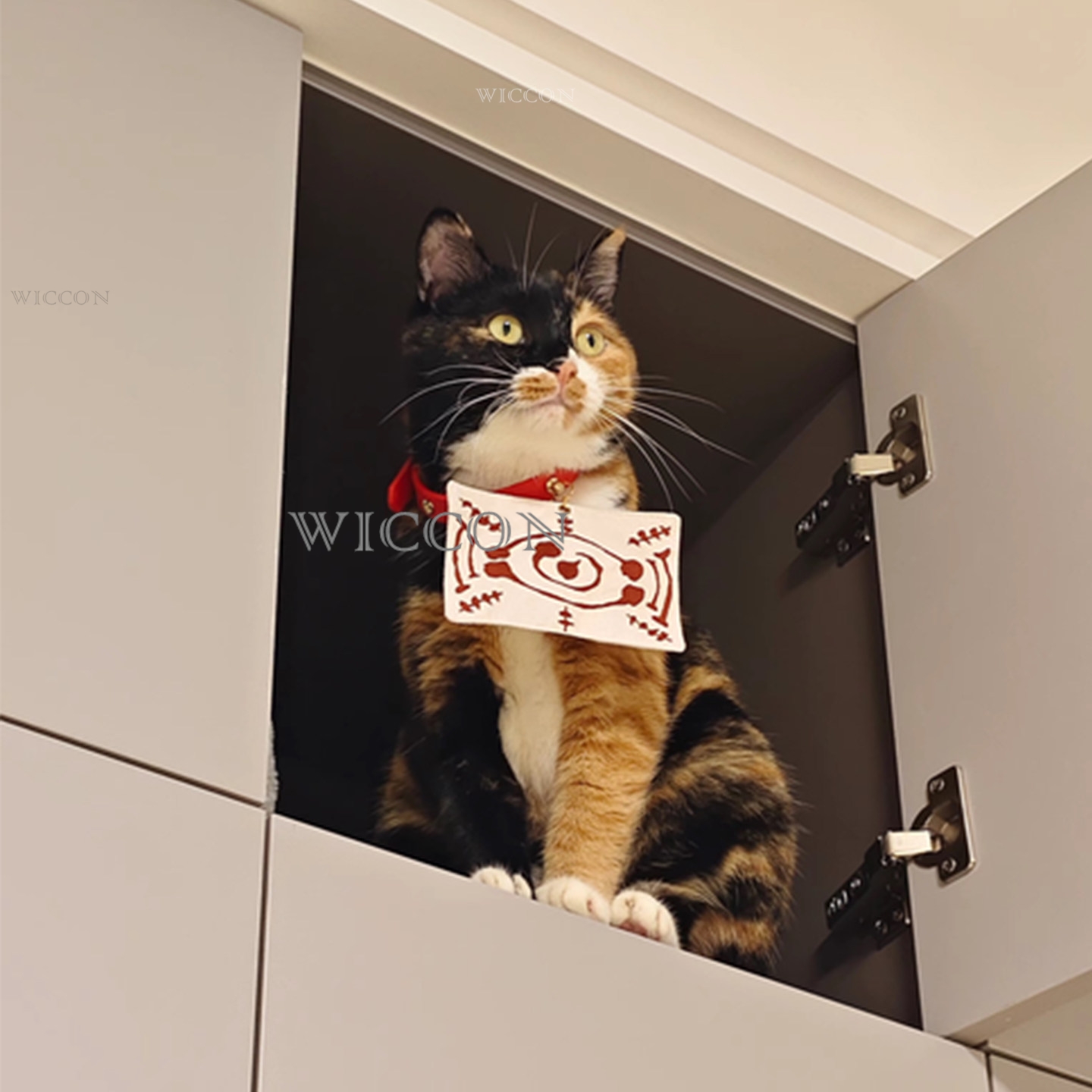 Chachamaru Cat Tamayos Dekoras - Cosplay Anime Jjk ulasan dan harga