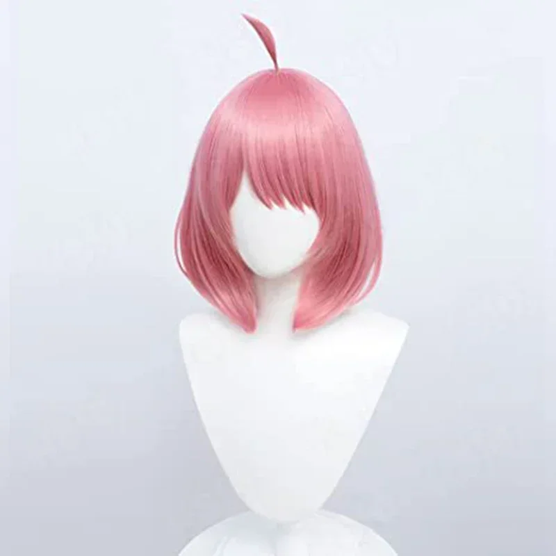 Kostum Cosplay Anime Spy Famil - Anime Cosplay Toddler ulasan dan harga